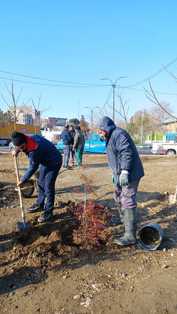 تداوم فرآیند اجرایی بازسازی و احیای فضای سبز میدان ورودی و میادین و بوستان‌های سطح شهر احمدآبادمستوفی از سوی مدیریت شهری